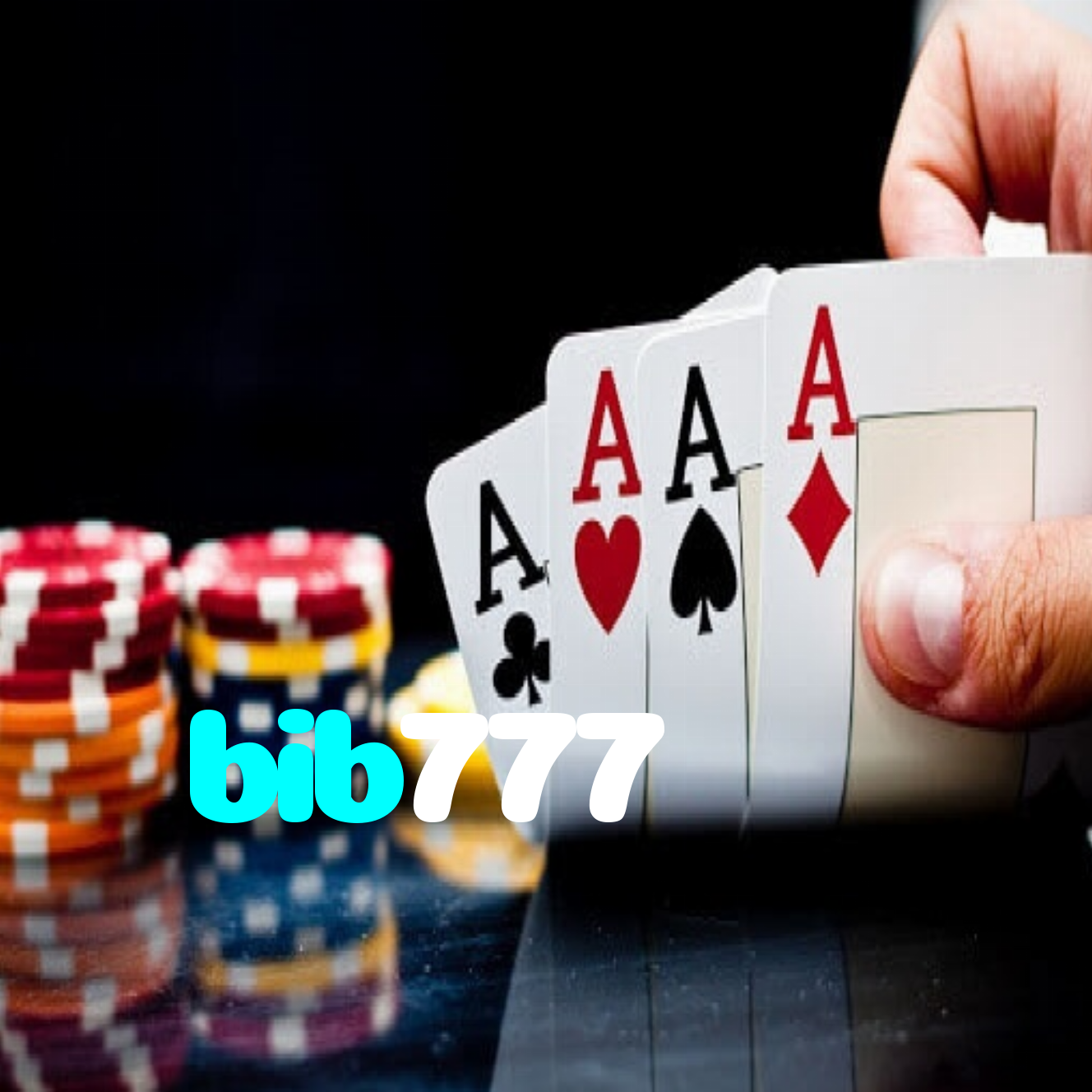 bib777