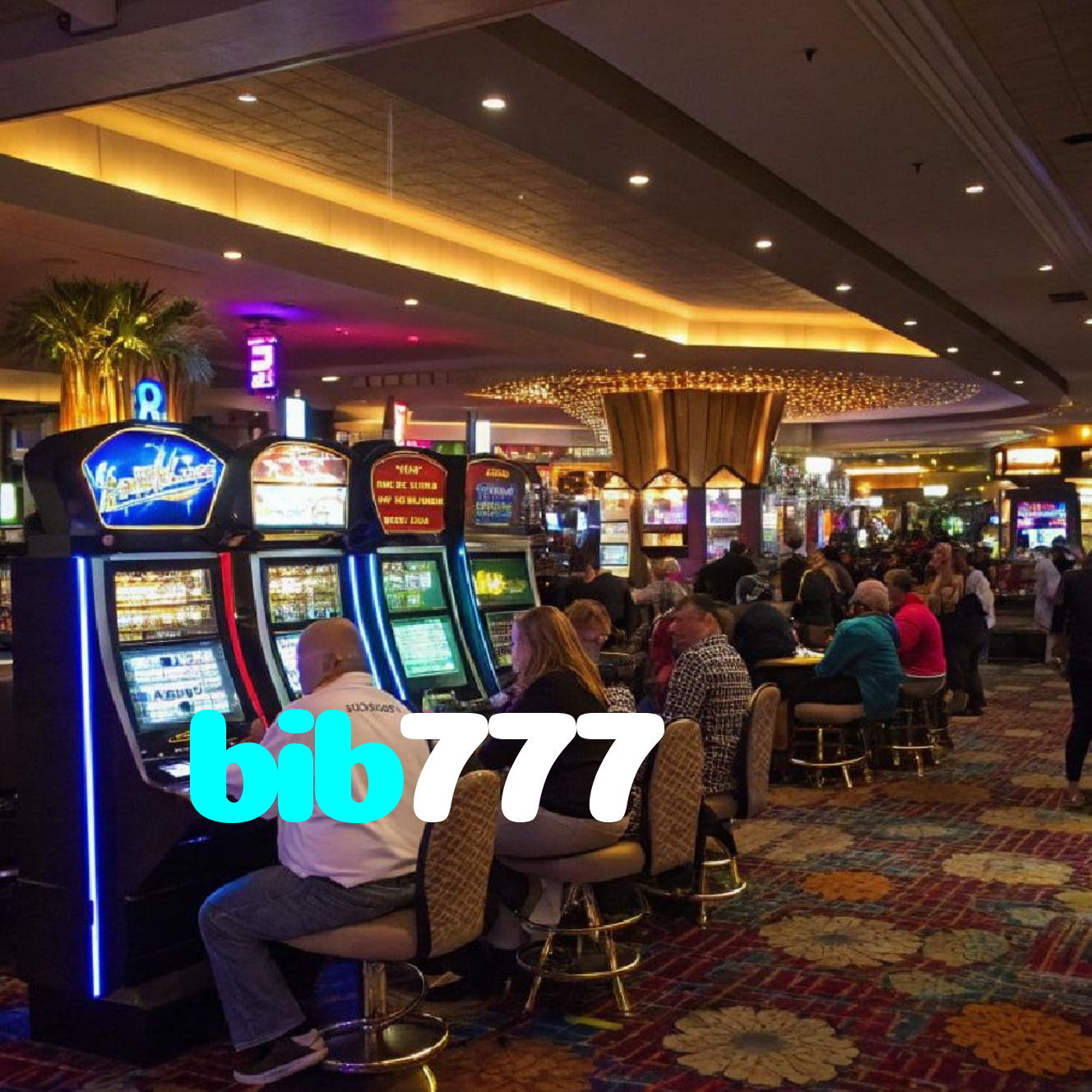 bib777