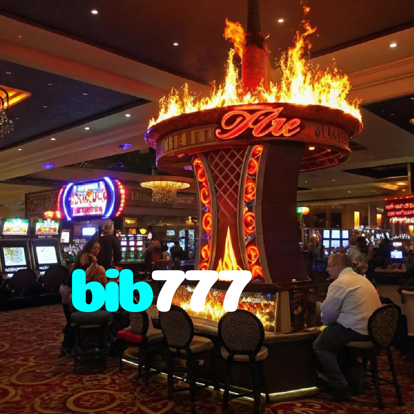 bib777