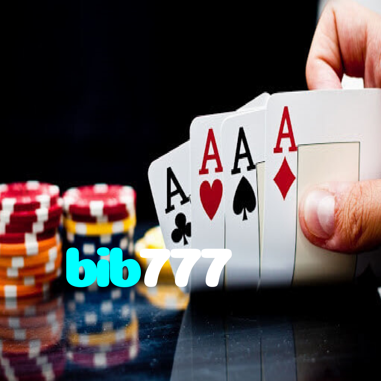 bib777